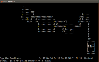 Nuotraukoje matomas ASCII žaidimas - nethack