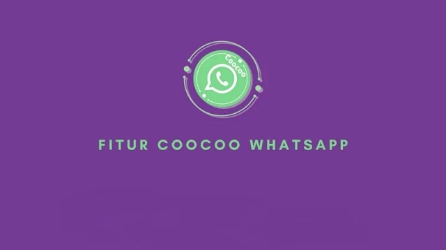 Aplikasi Mempercantik Video Call WhatsApp iPhone