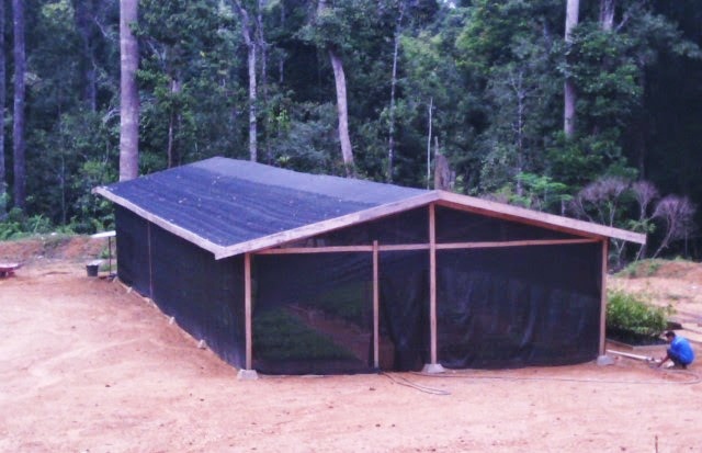 Inilah Cara  Membuat  Greenhouse  Sederhana Dari  Paranet  