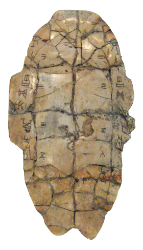 Turtle shell. Age of Shang dynasty