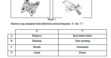 Contoh Soalan Dan Jawapan Upsr 2017 - Tol Kartasura