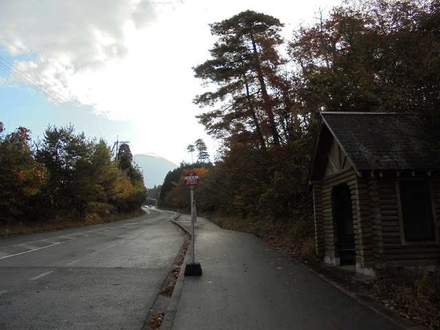 284号道路の大山寺岸本線を大山の方へ歩きます