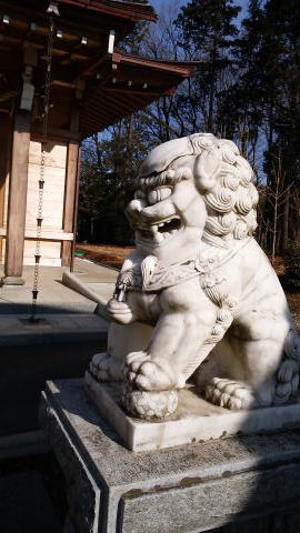 相模原市の神社　下溝八幡宮　狛犬