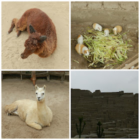 Huaca Pucclana, Lima, Peru