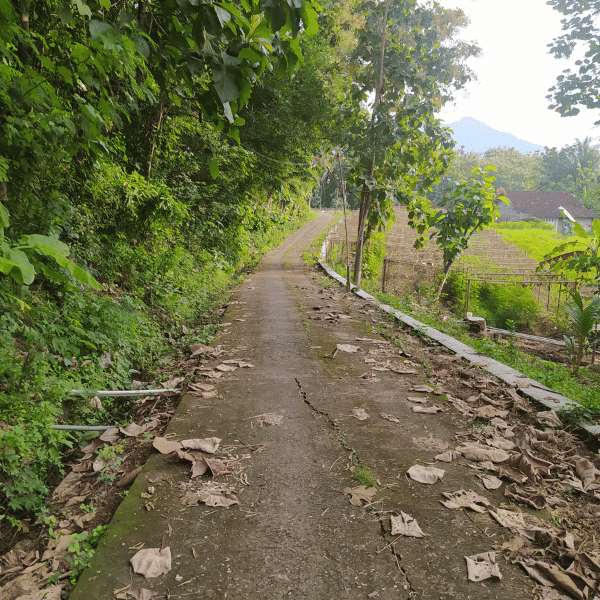 Jalan Songgo - Wareng