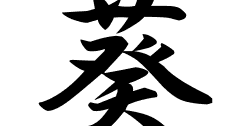 葵の意味 葵のつく名前 葵の成り立ちを紹介します 漢字の読み