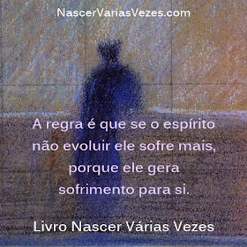 A regra é que se o espírito não evoluir ele sofre mais, porque ele gera sofrimento para si. Livro Nascer Várias Vezes