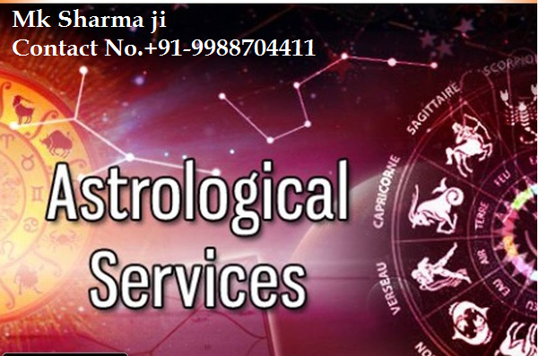 Who is the best Vedic astrologer in India for online consultation?