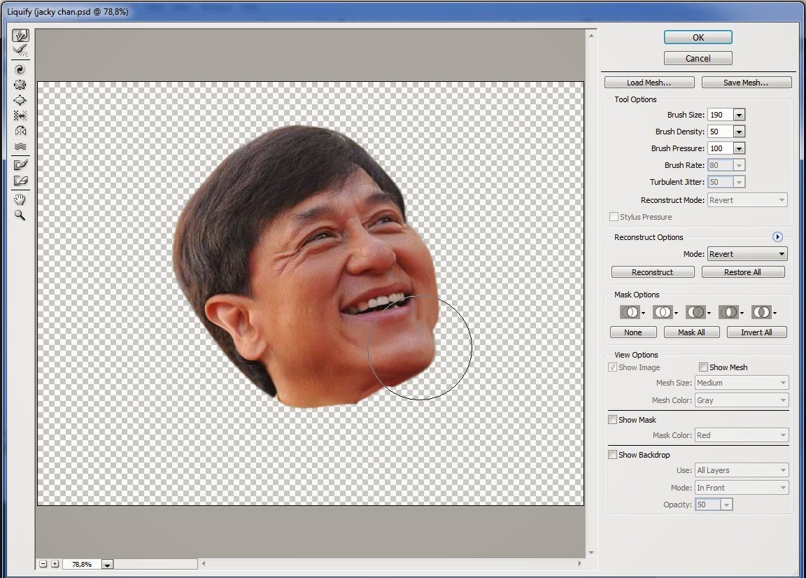  Cara membuat Karikatur dengan Photoshop