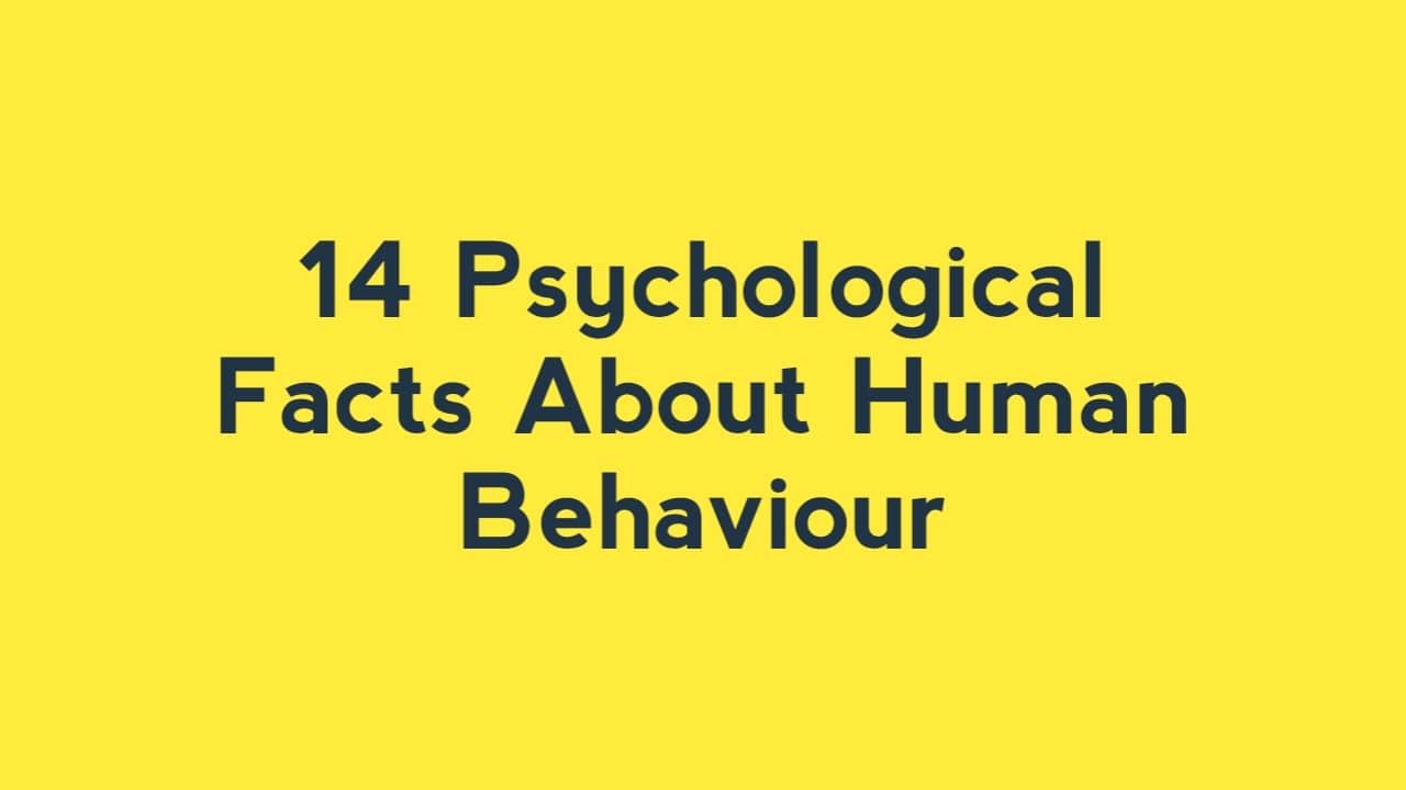 Psychology Facts About Human Behavior That Will Change Your Way of Thinking