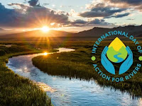 International Day of Action for Rivers - 14 March.