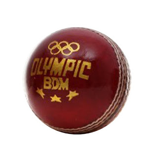 BDM Armstrong Leather Cricket Ball