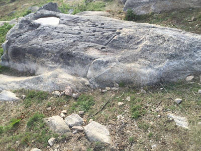 Iberia: Petroglyphs of Oia / Petroglifos de Oia  / Fotos por E.V.Pita / Photos by E.V.Pita http://archeopolis.blogspot.com/2017/04/iberia-petroglyphs-of-oia-petroglifos.html  