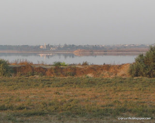 close-up of photo showing water still remaining in the salt lake after a wet winter in cyprus