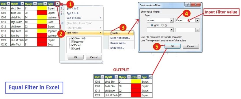 Equal Filter in Excel