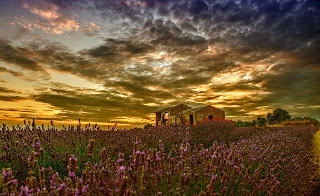 Cloud Photography