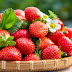 TOP Five Ways to Utilize Strawberries