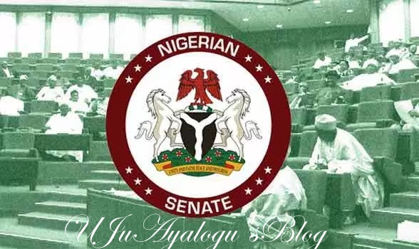 Senate issues fresh summons to IG over spates of killings