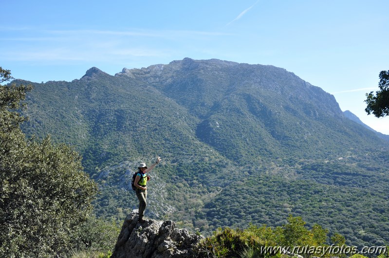 Cerros Albarracinejo-Peñuelas-Ponce-Albarracin y Alto del Puntal