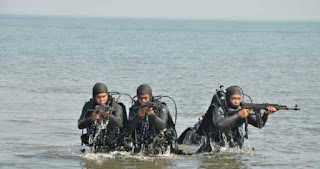 Mengenal TONTAIPUR, Peleton Intai Tempur Kostrad Indonesia