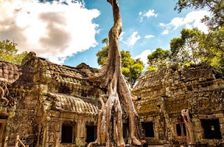 Ta Prohm