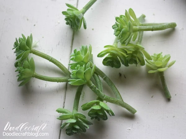 This way these small pieces will be the perfect fillers to cover the rest of the wreath.