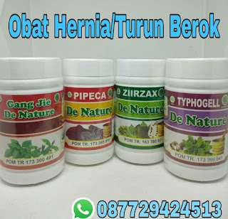 Obat Herbal Trasidional Untuk Penyakit Hernia / Turun Berok