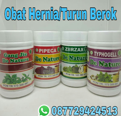 Jual Obat Hernia Atau Turun Berok De Nature Telp/Sms/Wa. 087729424513