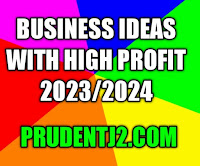 low-cost business ideas with high profit 2023/2024