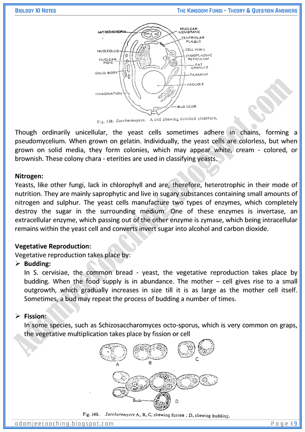 kingdom-fungi-descriptive-question-answers-biology-11th