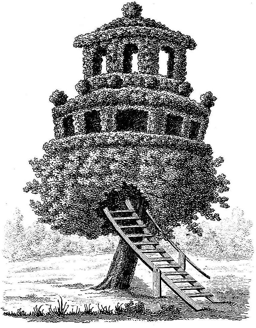 an 1839 topiary treehouse illustration