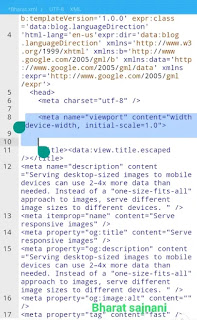 viewport setting