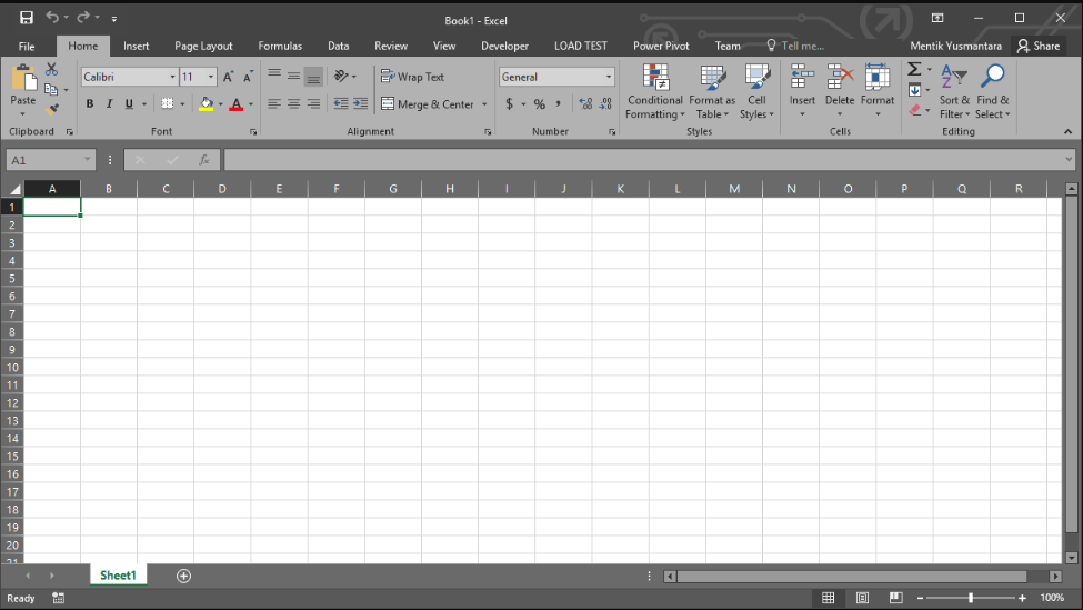 Microsoft Excel