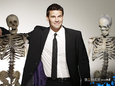 city of bones wallpaper. Agent Booth (Bones)