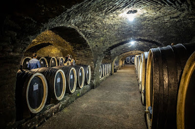 Vine Cellar