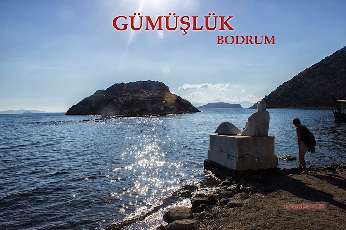 GÜMÜŞLÜK