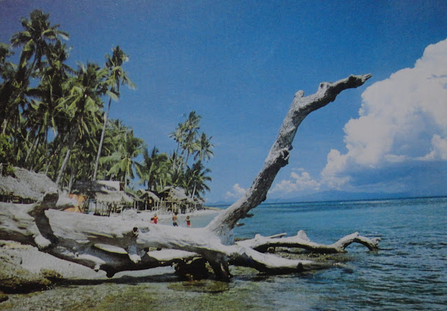 Caragasan Beach postcard