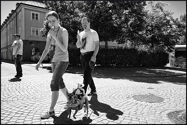 Gatufoto | Karlshamn | Sweden .
