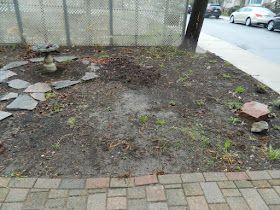 New Summerhill Toronto Front Shade Garden Renovation Before by Paul Jung--a Toronto Organic Gardener