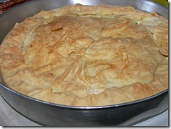 ΨΗΜΕΝΗ ΚΟΝΤΙΝΟ