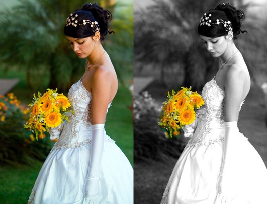Adding awesome effects to photos using Color Pop and Little Photo on Android devices
