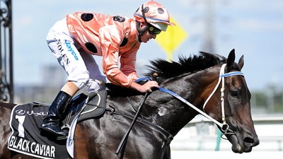 320546-black-caviar