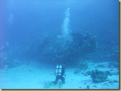 First view of the wreck