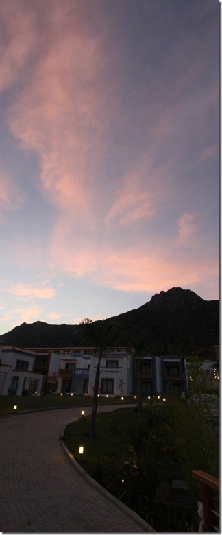 evening sky_2522 Panorama (422x1024)