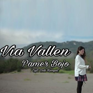 Download Lagu Mp3 Via Vallen - Pamer Bojo