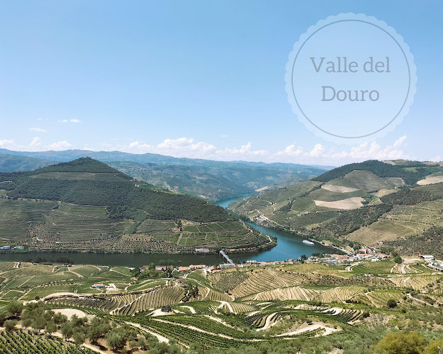 Valle Douro: escursione Porto tour barca