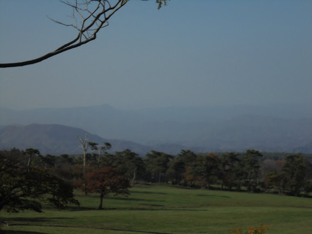 大山牧場の牧草地の風景