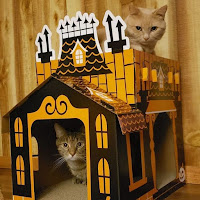 La gente está obsesionada con mini casas embrujadas para gatos en Halloween