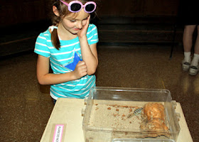 Before we left home, Tessa said she hoped to see a scorpion on our trip. She got her wish at the Arizona-Sonora Desert Museum. One exhibit featured scorpions that glowed beneath black lights!