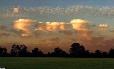 Unusual clouds known as Altocumulus Castellanus